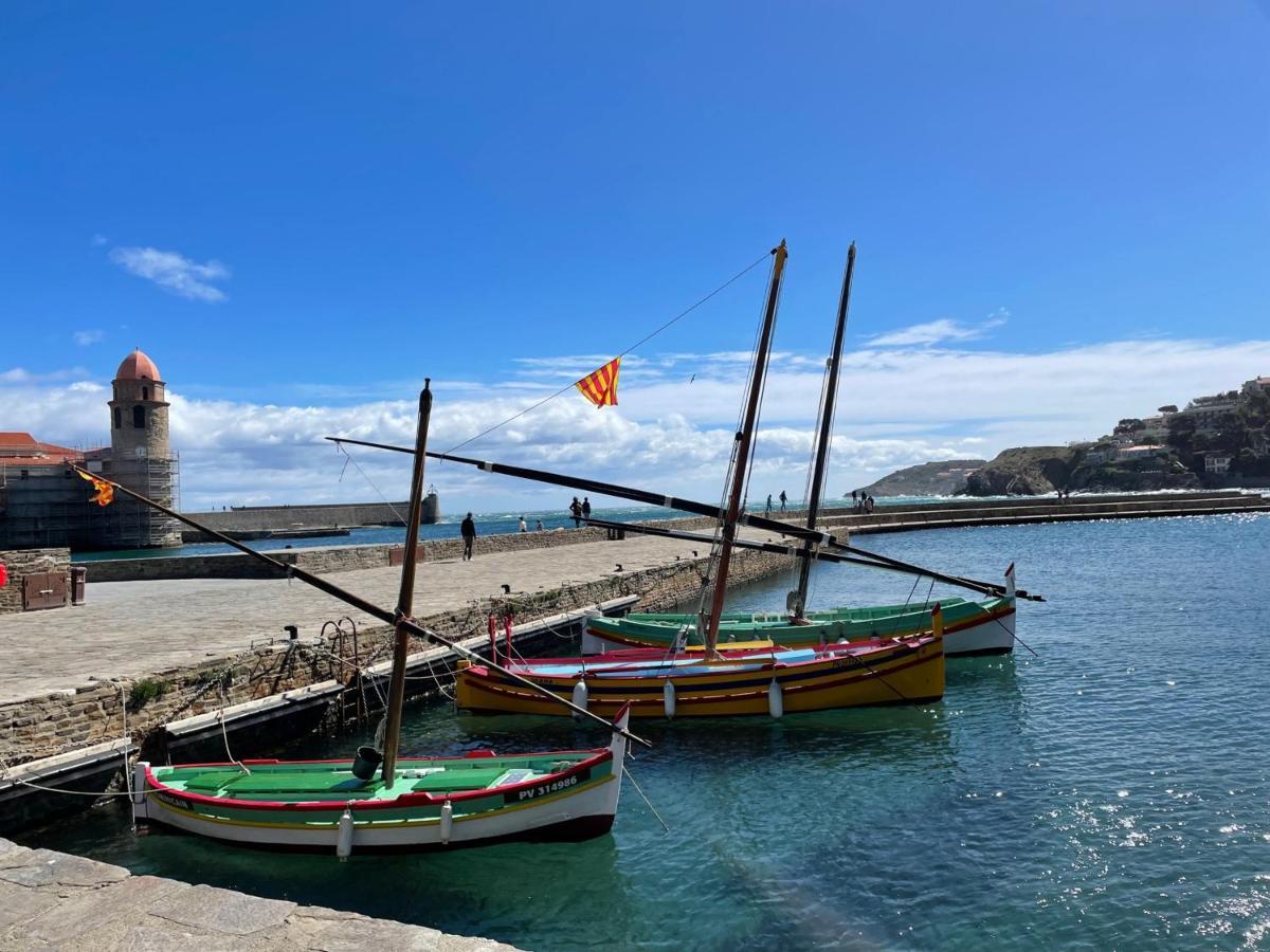 Charmant T2 Duplex Climatise Avec Terrasse, A Deux Pas De La Plage Du Port D'Avall, Collioure - Fr-1-309-233 Lägenhet Exteriör bild